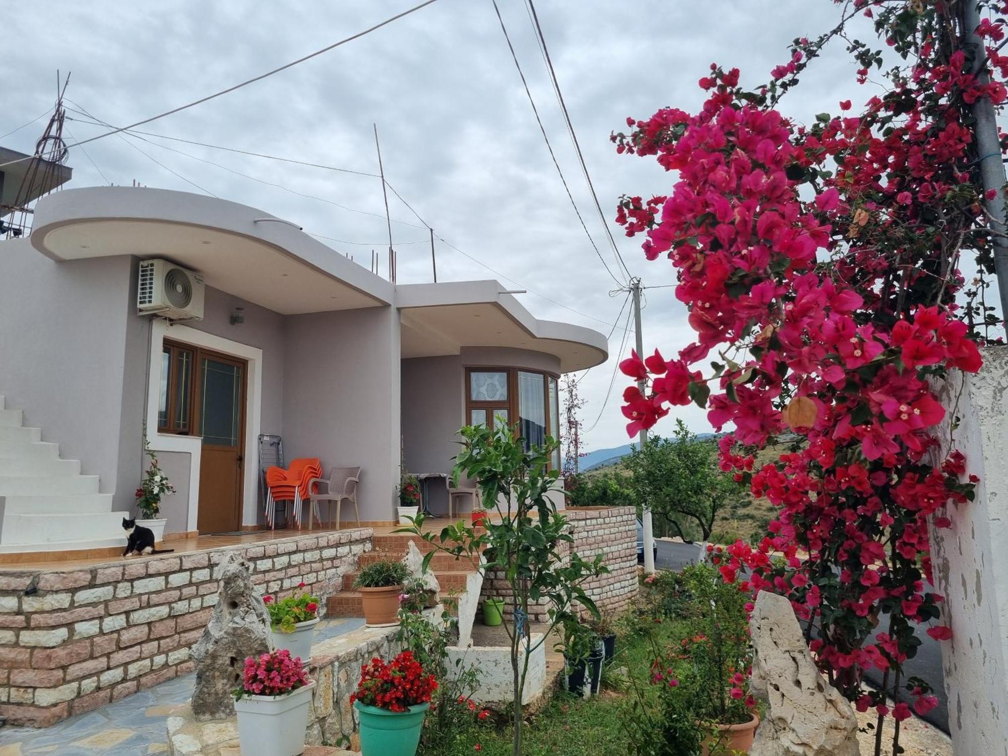 Apartment Besnik Brahimi كساميل المظهر الخارجي الصورة
