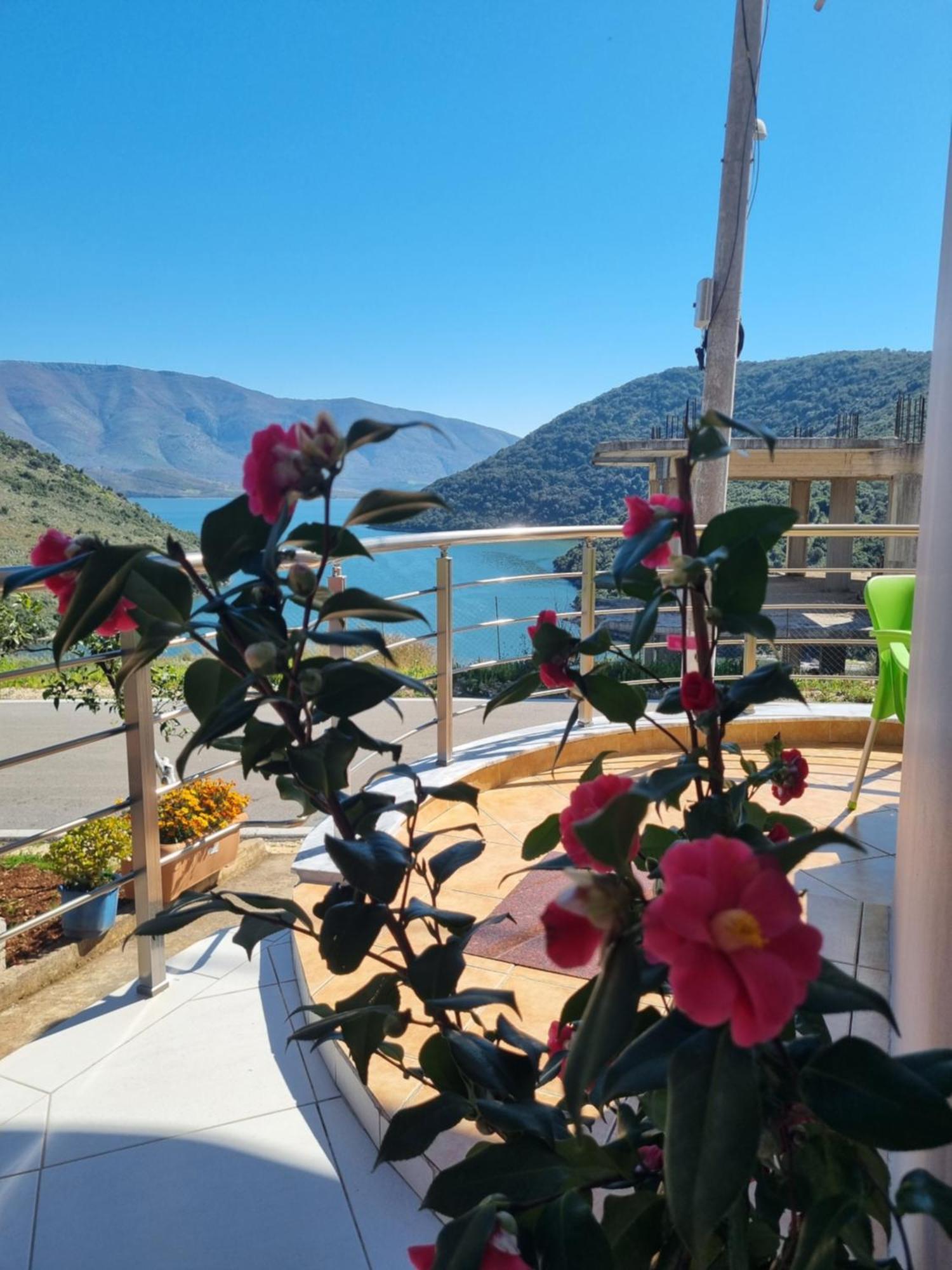 Apartment Besnik Brahimi كساميل المظهر الخارجي الصورة