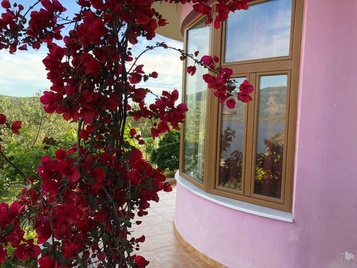 Apartment Besnik Brahimi كساميل المظهر الخارجي الصورة